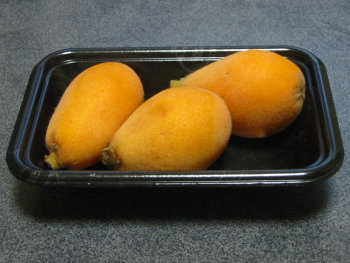 blog20070514-biwa