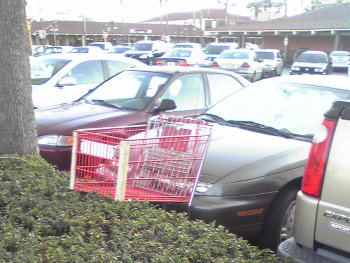 ファイル名: blog20090415-ShoppingCart.jpeg
ファイルサイズ: 38.5KB blog20090415-ShoppingCart
