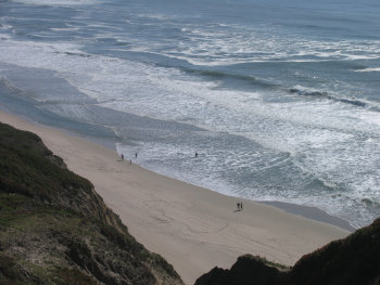 ファイル名: blog20090419-CASeaSide.jpeg
ファイルサイズ: 24.5KB blog20090419-CASeaSide