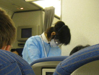 blog20090507-FluInspection