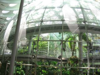ファイル名: blog20090628-CalAcademyOfScienceBotanicalGarden.jpeg
ファイルサイズ: 33KB blog20090628-CalAcademyOfScienceBotanicalGarden