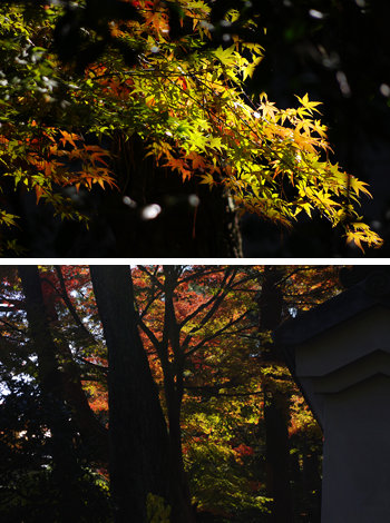 blog20111204-Sankeien1