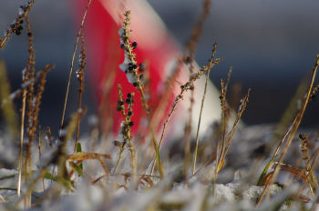 blog20120124-NaritaAirport
