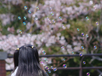 ファイル名: blog20120407-CherryBlossom1.jpeg
ファイルサイズ: 42.5KB blog20120407-CherryBlossom1