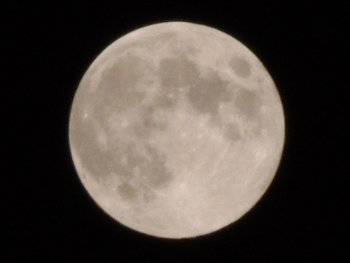 ファイル名: blog20130919-FullMoon.jpeg
ファイルサイズ: 22.5KB blog20130919-FullMoon