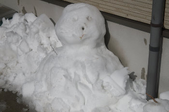 ファイル名: blog20140209-Snowman02.jpeg
ファイルサイズ: 19.2KB blog20140209-Snowman02