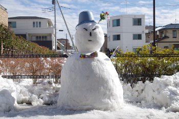 ファイル名: blog20140209-Snowman04.jpeg
ファイルサイズ: 37.7KB blog20140209-Snowman04