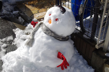 ファイル名: blog20140209-Snowman05.jpeg
ファイルサイズ: 32KB blog20140209-Snowman05