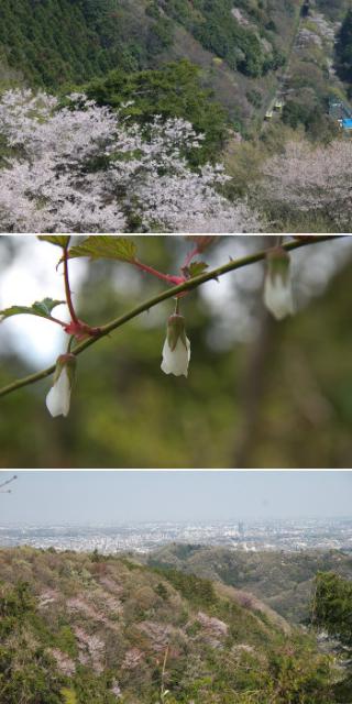 blog20140412-MtTakao