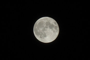 blog20150928-SuperMoon