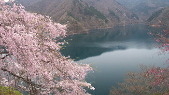 ファイル名: blog20160410-Okutama.jpeg
ファイルサイズ: 30.9KB blog20160410-Okutama
