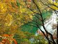AutumnLeaves.jpg