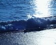 Sea.jpg