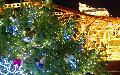 TokyoTower-20111129.jpeg